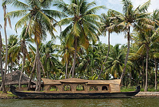 船屋,正面,棕榈树,高知,喀拉拉,印度,亚洲