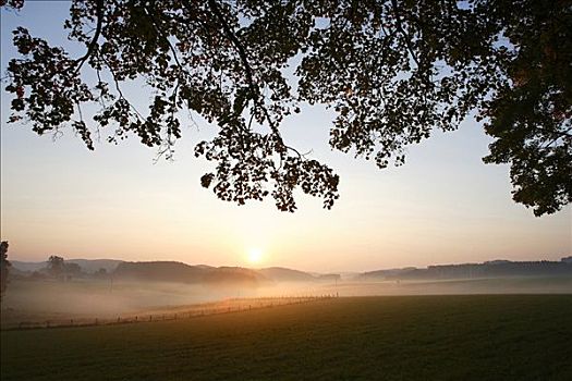 晨雾,日出,北莱茵威斯特伐利亚,德国