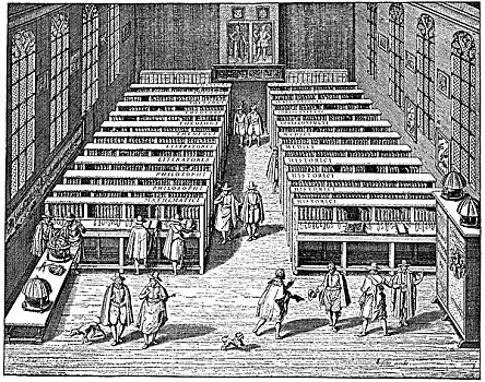 历史,图书馆,大学,莱顿,17世纪,荷兰,欧洲