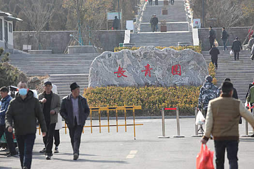 山东省日照市,鲜花代替纸钱,上坟不再烧纸,文明祭祀成为新风尚