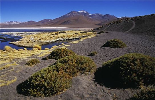 风景,计划,喜爱