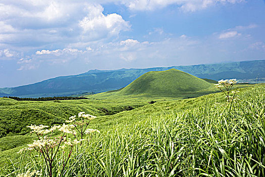 草原,熊本,九州,日本