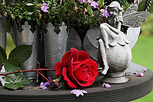 红玫瑰,仙女,小雕像,花瓶