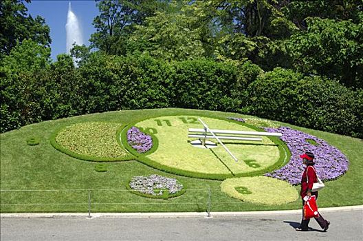 花,钟表,喷泉,背景,日内瓦,瑞士