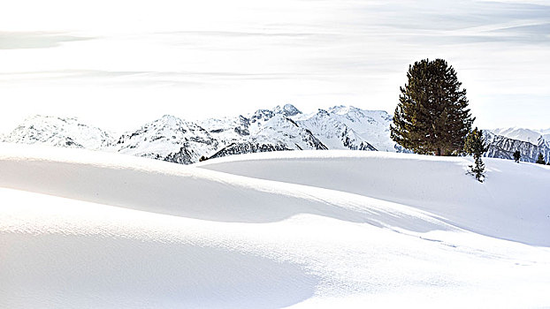 积雪,山景,提洛尔,阿尔卑斯山