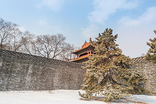 冬季雪后的沈阳清昭陵