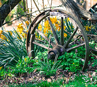 旧式,木质,轮子,花园
