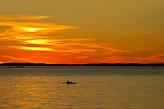 日落,上方,海洋,阿卡迪亚国家公园,缅因,美国