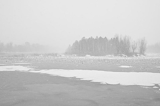 雪景