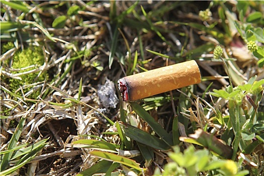 香烟,火灾隐患,树林,草,微距,特写
