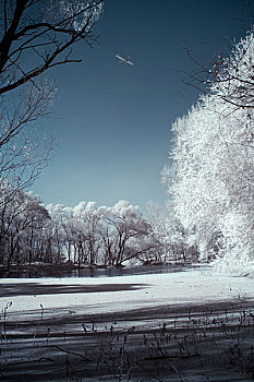 雪景