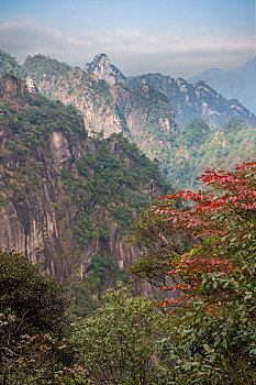 奇峰劲松三清山