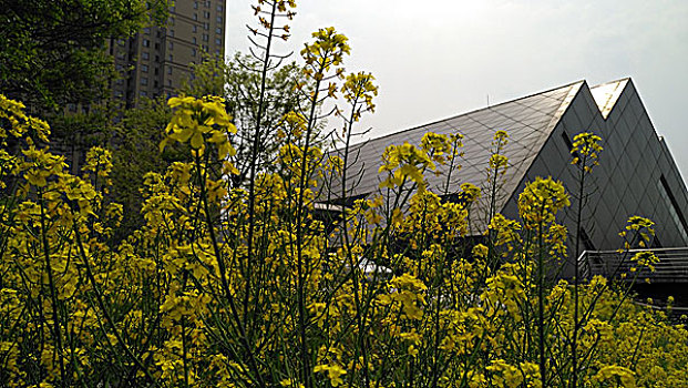 城市建设