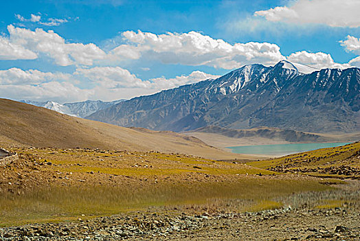 印度,克什米尔,拉达克,风景,低,草,山谷,湖,雪冠,山,蓝天,蓬松,白云