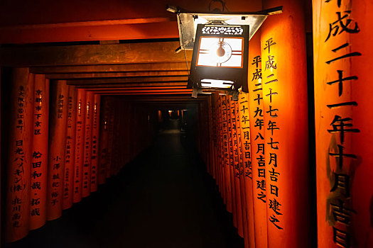 日本京都伏见稻荷大社千本鸟居夜景