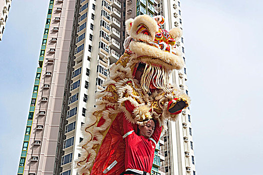 狮子,跳舞,庆贺,春节,香港