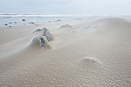 石头,风吹,沙子,沙滩,东方,下萨克森,德国,欧洲