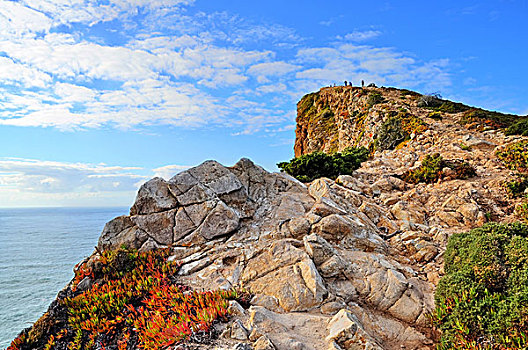 岩石,峭壁,海洋,葡萄牙