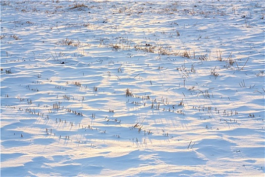 暖光,寒冷,雪