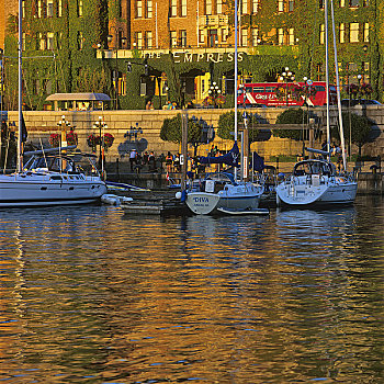 帆船,港口,皇后酒店,维多利亚,不列颠哥伦比亚省,加拿大