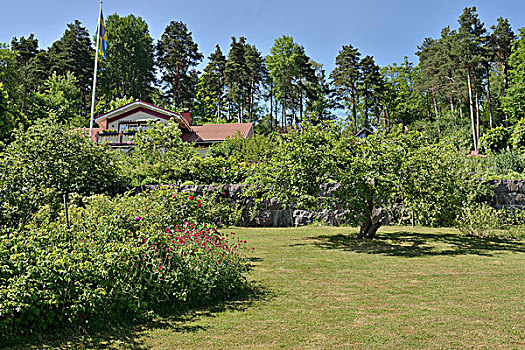 夏天,花园,草坪,正面,郊区住宅