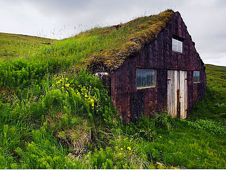 草皮,谷仓,山坡,冰岛