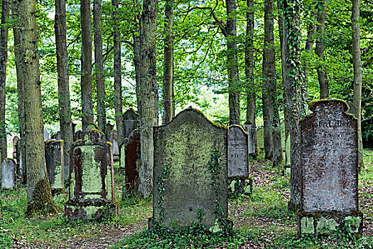 犹太,墓地,莱茵兰普法尔茨州,德国,欧洲
