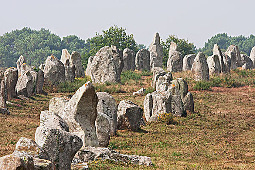 竖石纪念物,排列,卡赫纳,莫尔比昂省,法国