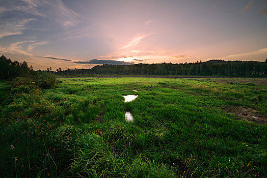 汤旺河国家公园