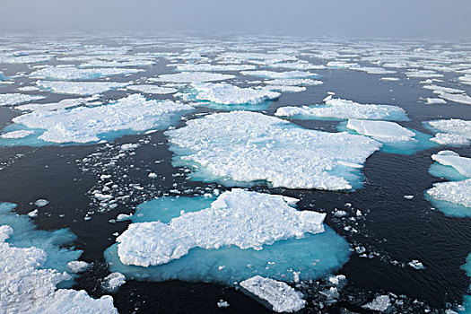 浮冰,格陵兰,海洋,北冰洋,北极