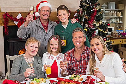 家庭,祝酒,白葡萄酒,圣诞晚餐