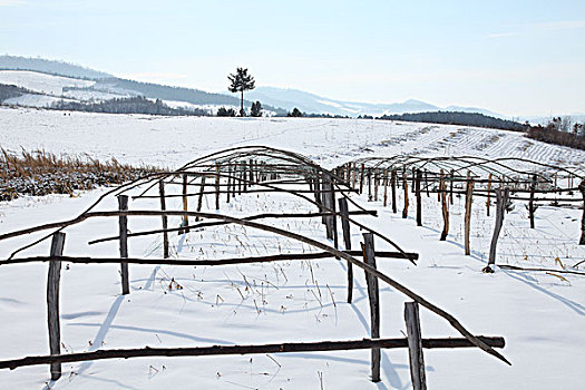 东北吉林省敦化市两江镇农村雪景