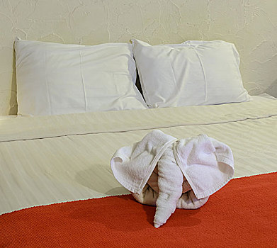 白色,毛巾,大象,床