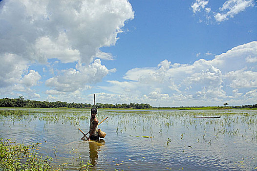 一个,男人,抓住,鱼,沼泽,孟加拉,六月,2007年