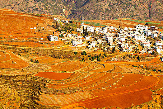 东川红土地