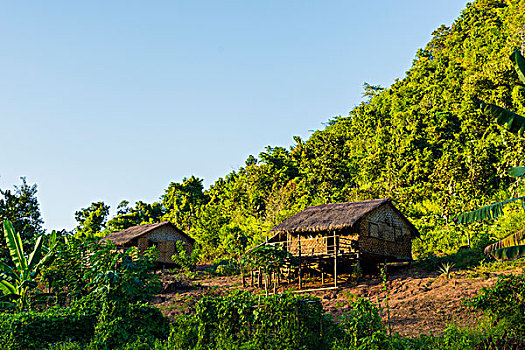 缅甸,掸邦,靠近,卡劳,绿色,山,山谷,大象,露营,传统,房子,看象人,生活方式