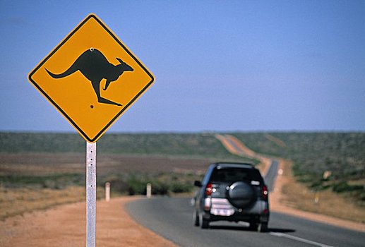 袋鼠,路标,西澳大利亚,澳大利亚