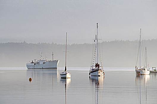 船,锚,温哥华岛,不列颠哥伦比亚省,加拿大