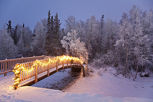 桥,装饰,圣诞灯光,树林,阿拉斯加