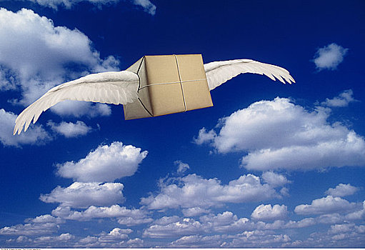 包装,翼,天空