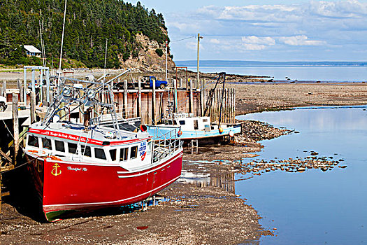 渔船,退潮,新布兰斯维克,加拿大