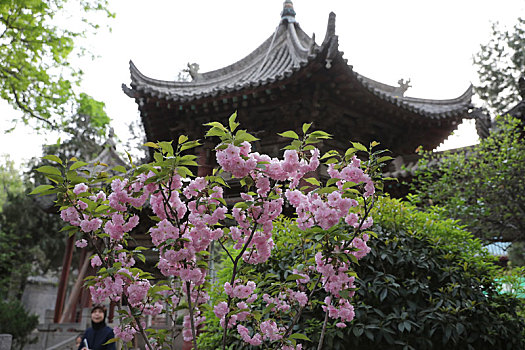 西安清真大寺