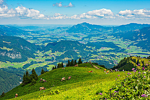徒步旅行,背景,阿尔卑斯山,巴伐利亚,德国,欧洲