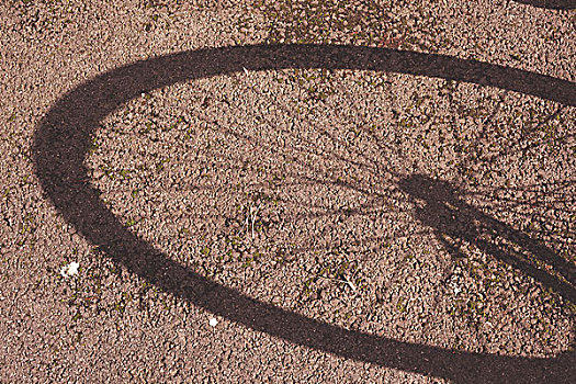 影子,自行车,轮子