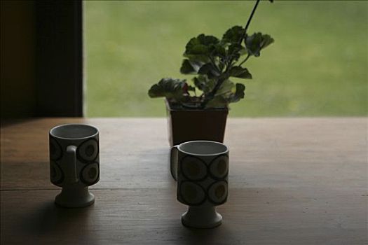 两个,咖啡杯,花瓶,桌子