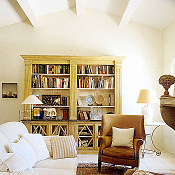 书架,老,皮制扶手椅,沙发,客厅,法国,郊区住宅