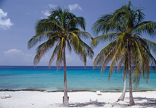 折叠躺椅,棕榈树,海滩,古巴