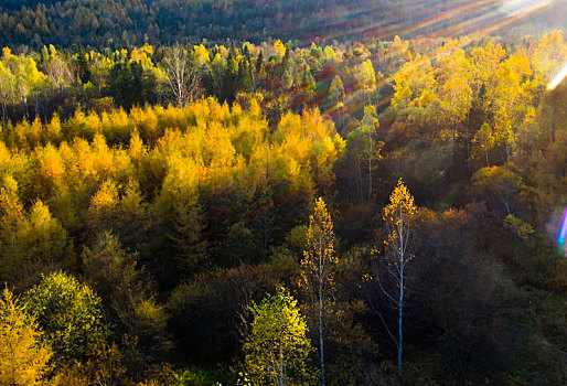 雪乡国家森林公园秋季风光