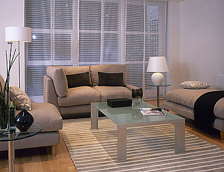 现代,起居室,过满,沙发,躺椅,茶几,小地毯,透明,帘,上方,窗户
