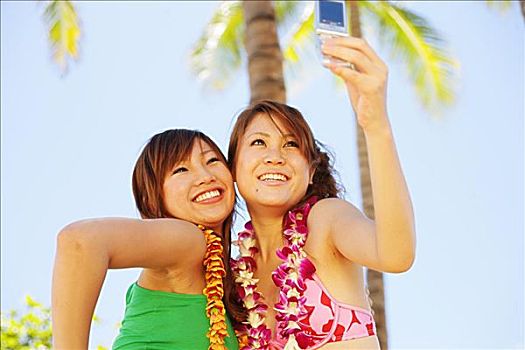 两个,日本,女孩,拍照手机,棕榈树,后面